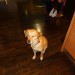 DSC00599.JPG