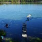 DSC00117.JPG