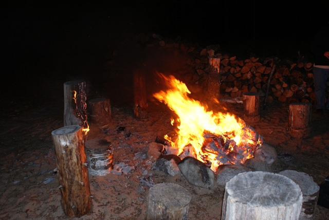 DSC01533.jpg