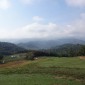 DSC00841.JPG