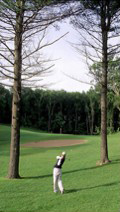Boyne Mountain