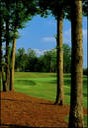 Galbos view of the golf course