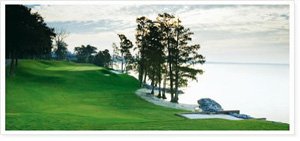 Kingsmill